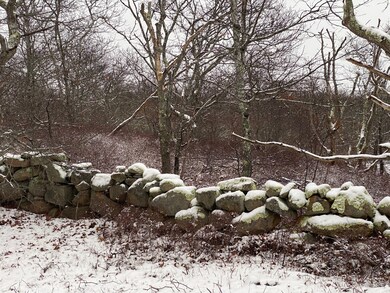 Ancient stonewalls