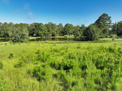 00 6th St NW, Cairo, GA 39828 - photo 3