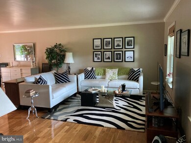 601 Hinton Rd, Luray, VA 22835 - photo 7