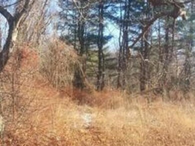 0 E S Market Street Lot 33 I unit 71615299, Swansea, MA 02777 - photo 4