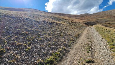 MS #17664- Last Rose Barry Lyndon Rory Omore - 66 66%, Alma, CO 80420 - photo 5