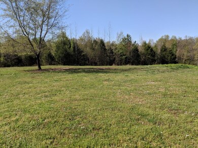 2420 Hawkersmith Rd, Manchester, TN 37355 - photo 6