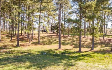 12701 Pine Bluff Rd, Midland, NC 28107 - photo 5