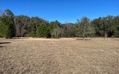 820 NW Frontier Dr, Lake City, FL 32055 - photo 7