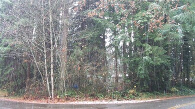 22003 N Clear Lake Blvd SE, Yelm, WA 98597 - photo 2