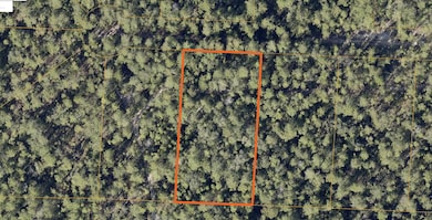 Lot 7 - 1