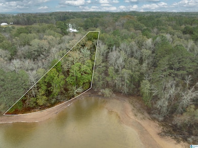 0 Annesley Dr unit 21438186, Pell City, AL 35128 - photo 7