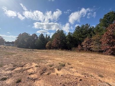 54 Summer Sky Dr, Greenbrier, AR 72058 - photo 3