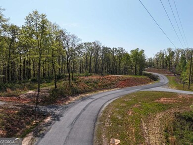 LT 20 Blalock Mountain Rd, Ellijay, GA 30175 - photo 7