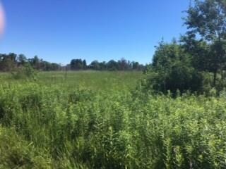 XXX Cty C Rd, Webster, WI 54893 - photo 3