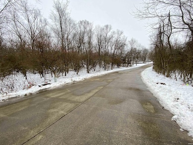 0 N Summerhill Dr unit 1, Niles Township, IN 47320 - photo 3