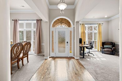 Carpeted foyer with baseboards, visible vents, crown molding, and wood finished floors