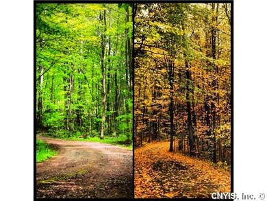 Land/Lot