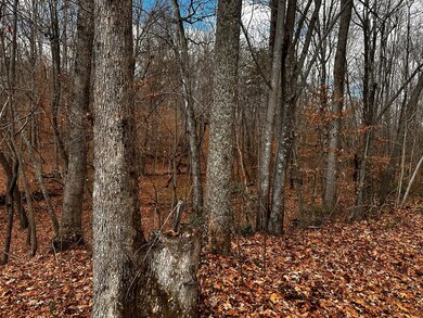 645 Avendale Rd, Callands, VA 24530 - photo 4