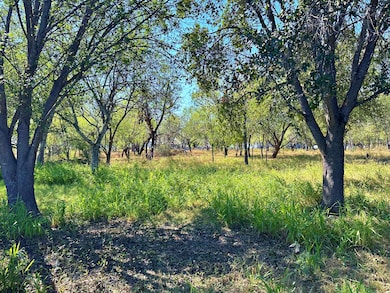 215 E College St, Pleasanton, TX 78064 - photo 5