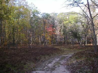 IMGP3945