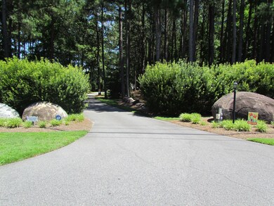 Driveway Entrance