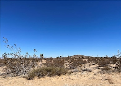 0 Balsa Ave unit IG25279253, Landers, CA 92285 - photo 5