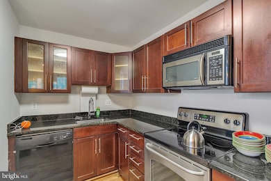 1011 Hunter St unit B1, Baltimore, MD 21202 - photo 6