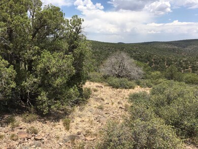 5322 N Kit Fox Trail unit 235, Kingman, AZ 86401 - photo 5