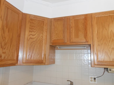 6330 Lincoln Ave unit 2A, Morton Grove, IL 60053 - photo 6