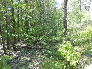 0 Granite Rd unit 4760871, Effingham, NH 03882 - photo 2