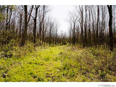 Land/Lot.