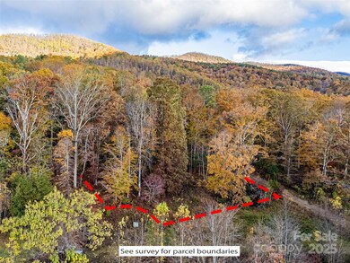 TBD Mystic View Ln, Black Mountain, NC 28711 - photo 3