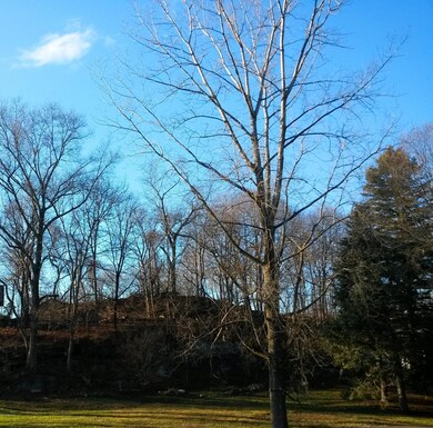 4 Apple Tree Ln, Riverside, CT 06878 - photo 5