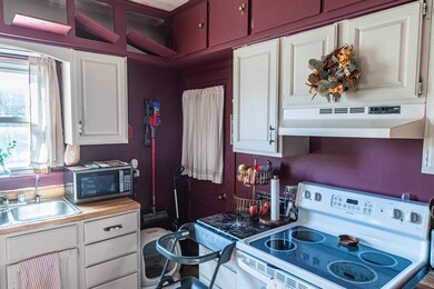 30 Plum St, Saunemin, IL 61769 - photo 5