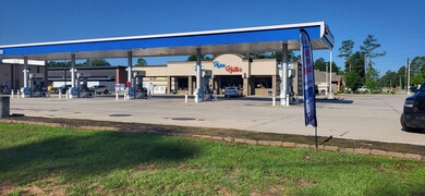 818 Honea Egypt Rd, Magnolia, TX 77354 - photo 4