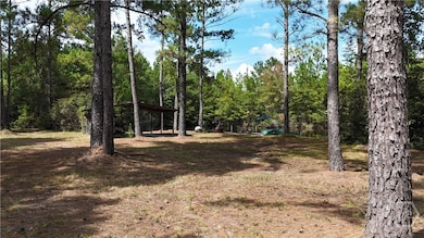 0 Stillwell Clyo Rd unit SA340237, Springfield, GA 31329 - photo 3