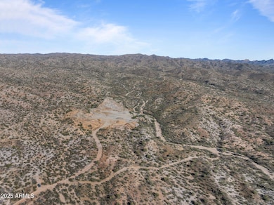 XX1 W Monarch Trail, Wickenburg, AZ 85390 - photo 5