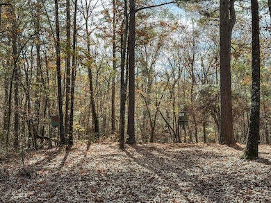 County Road 2235, Bagwell, TX 75412 - photo 7