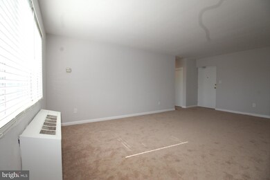 3601 5th St S unit 501, Arlington, VA 22204 - photo 7