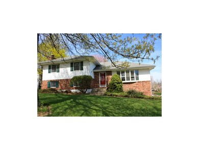 Shaded front yard