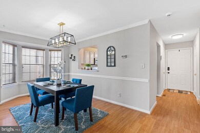 311 Tolbelt Ct, Stafford, VA 22554 - photo 4