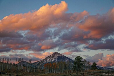 26882 Aspen Ct, Clark, CO 80428 - photo 6