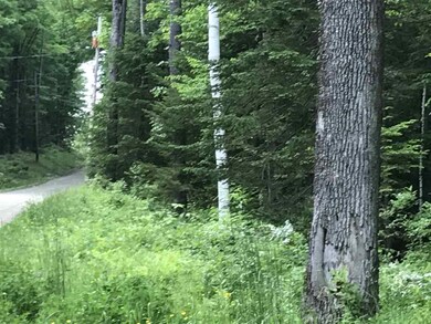 00 Holden Hill Rd unit Lot 2, Weston, VT 05161 - photo 2