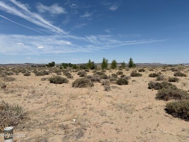 IMG_0445 (1)
