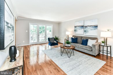 3336 Spring Ln unit A44, Baileys Crossroads, VA 22041 - photo 2