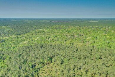 0 McPhaul Rd, Crawfordville, FL 32327 - photo 2