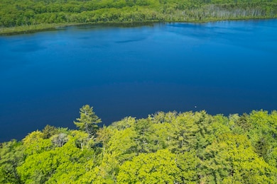 Aerial view over the subject