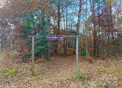 000 Sam Poole Ln, Taylorsville, NC 28681 - photo 6