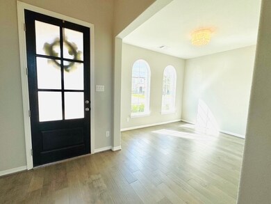 3447 Cabernet Shores Dr, Fulshear, TX 77441 - photo 3