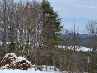 165 Williams Rd unit 65, Littleton, NH 03561 - photo 4