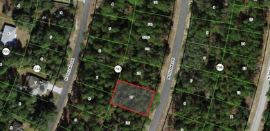 8116 N Triana Dr, Citrus Springs, FL 34434 - photo 3