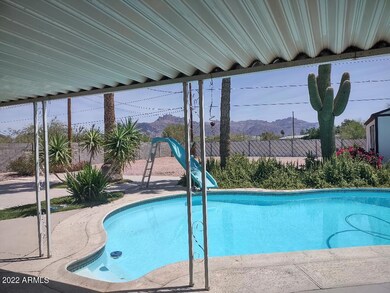 Cactus pool with a view