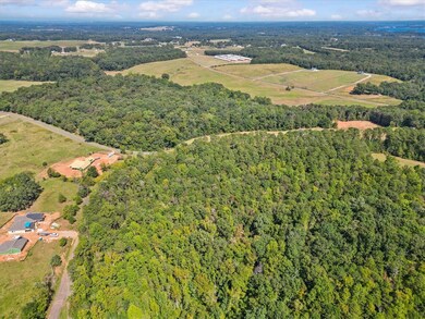 00 Andersonville Rd, Townville, SC 29689 - photo 7