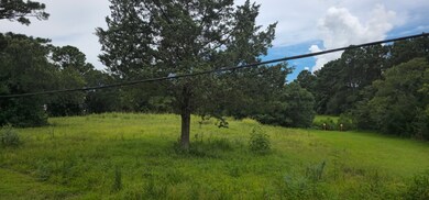 Some mature trees.